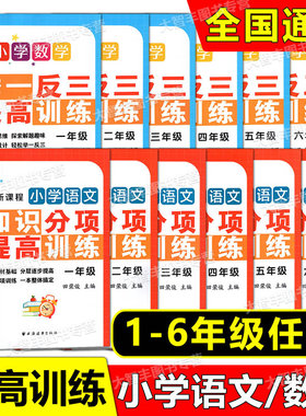 小学语文知识分项提高训练