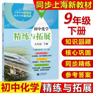 2026新版初中化学精练与拓展九年级下册9年级第二学期基础拓展提升能力测试评价初中化学上海教育出版社