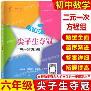 交大之星尖子生夺冠二元一次方程组六年级上海初中6年级数学专项训练难度高讲解精含参考答案上海交通大学出版社