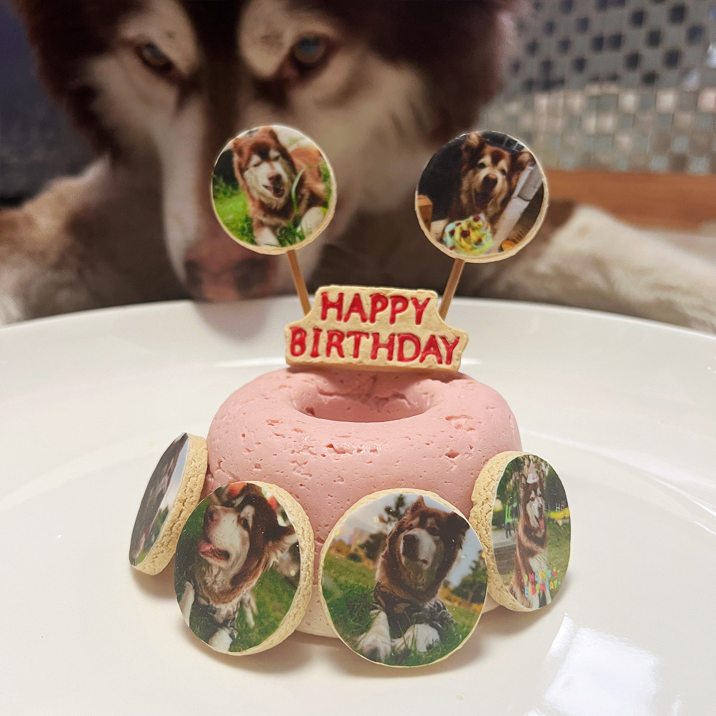 小宠一狼宠物蛋糕狗生日饼干零食定制狗猫咪照片插牌装饰纯鸡肉