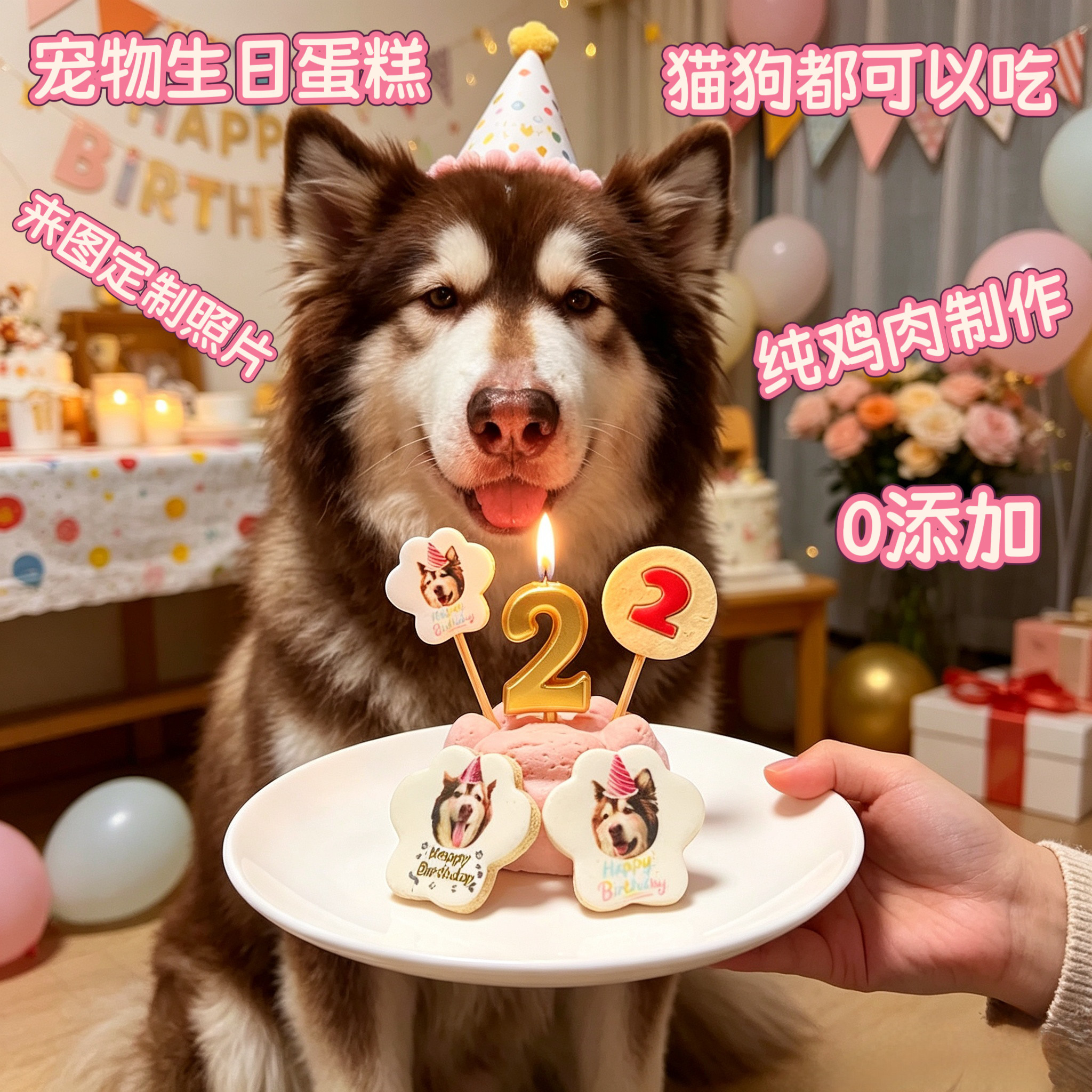 小宠一狼爪子宠物生日蛋糕饼干零食定制狗猫咪照片生日插牌小型犬