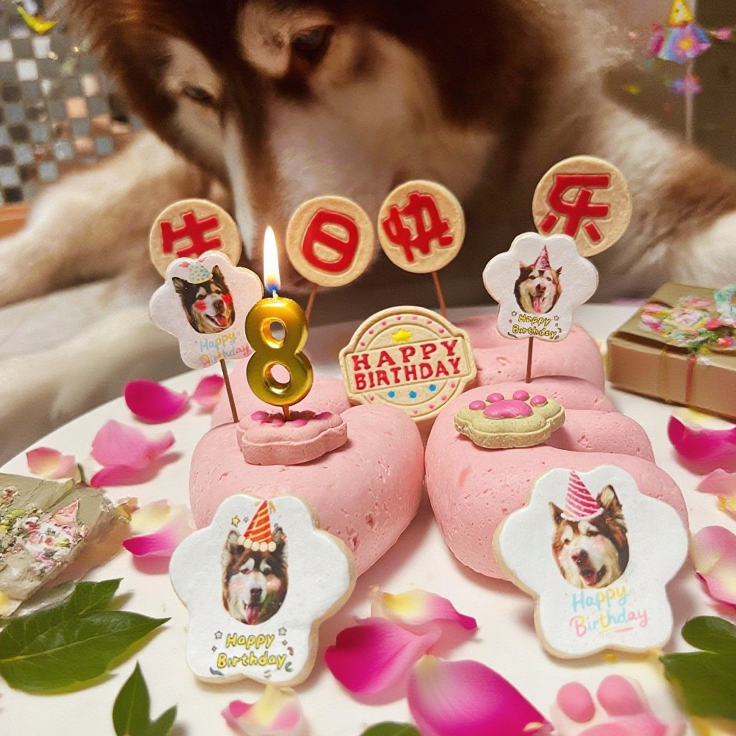 小宠一狼love宠物生日蛋糕饼干零食定制狗猫咪照片生日插牌无添加