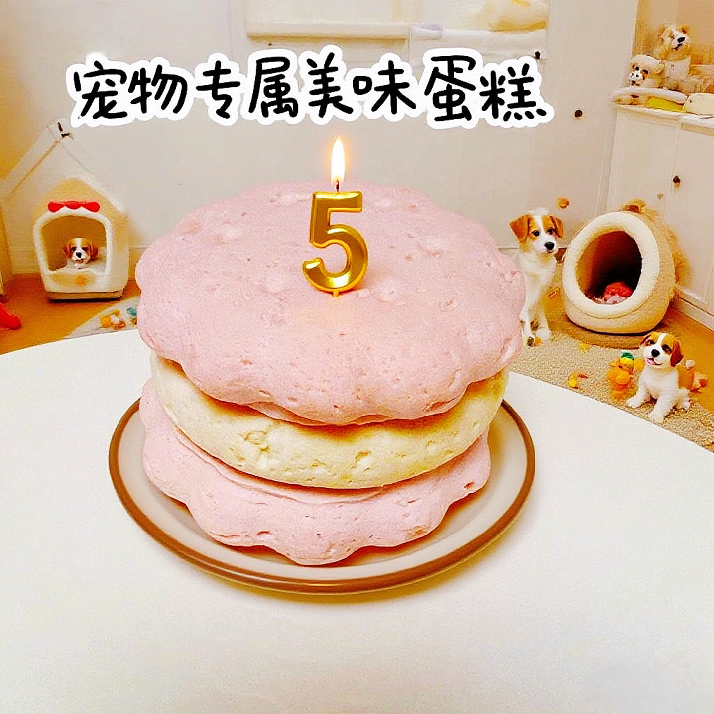 小宠一狼宠物生日蛋糕狗猫咪零食自制纯鸡肉无添加天然柯基比熊,宠物/宠物食品及用品,狗饼干,淘宝优惠券,粉丝福利购,淘宝优惠卷