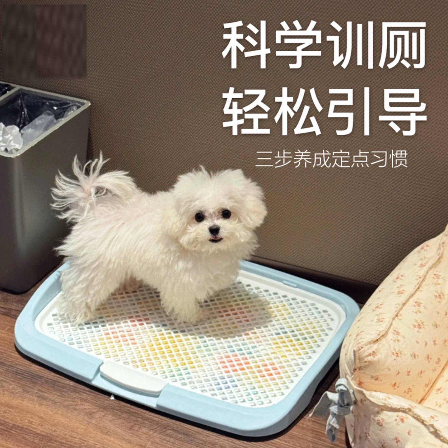 狗尿垫托盘厕所宠物定点尿盆小狗厕所专用爱丽丝固定尿垫便盆托盘