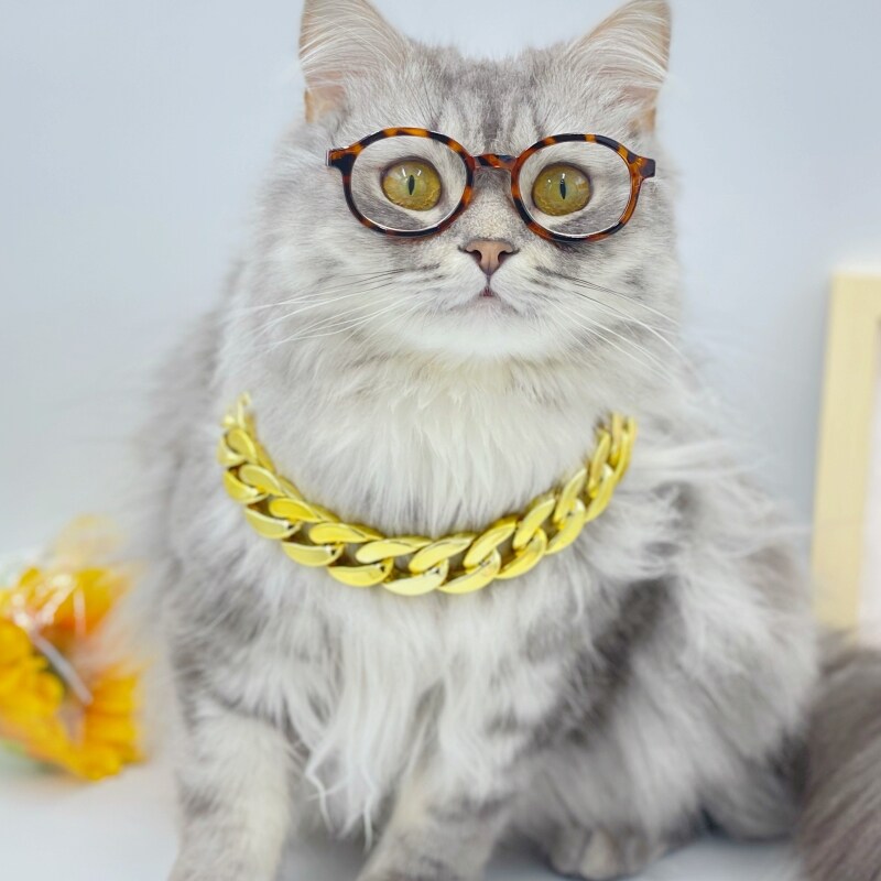 宠物猫眼镜狗狗墨镜小型网红宠物猫太阳镜拍照猫宠物搞怪装饰道具