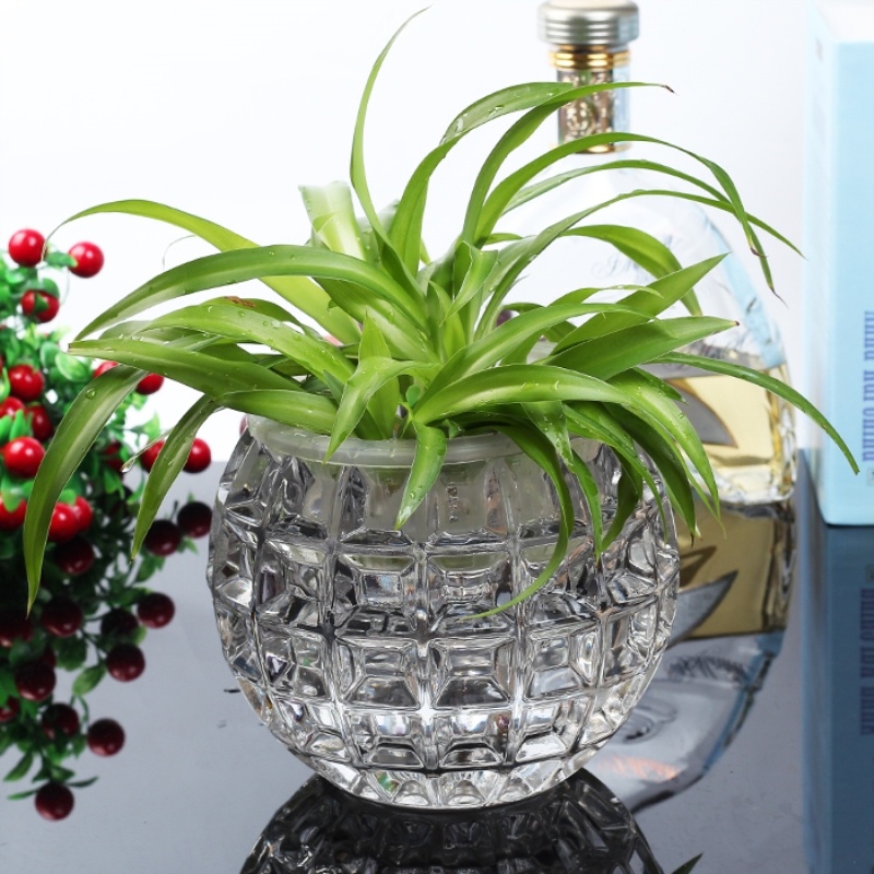 玻璃水培花盆水晶品质玻璃圆球工艺摆件蜡台水培玻璃花瓶圆形烛台