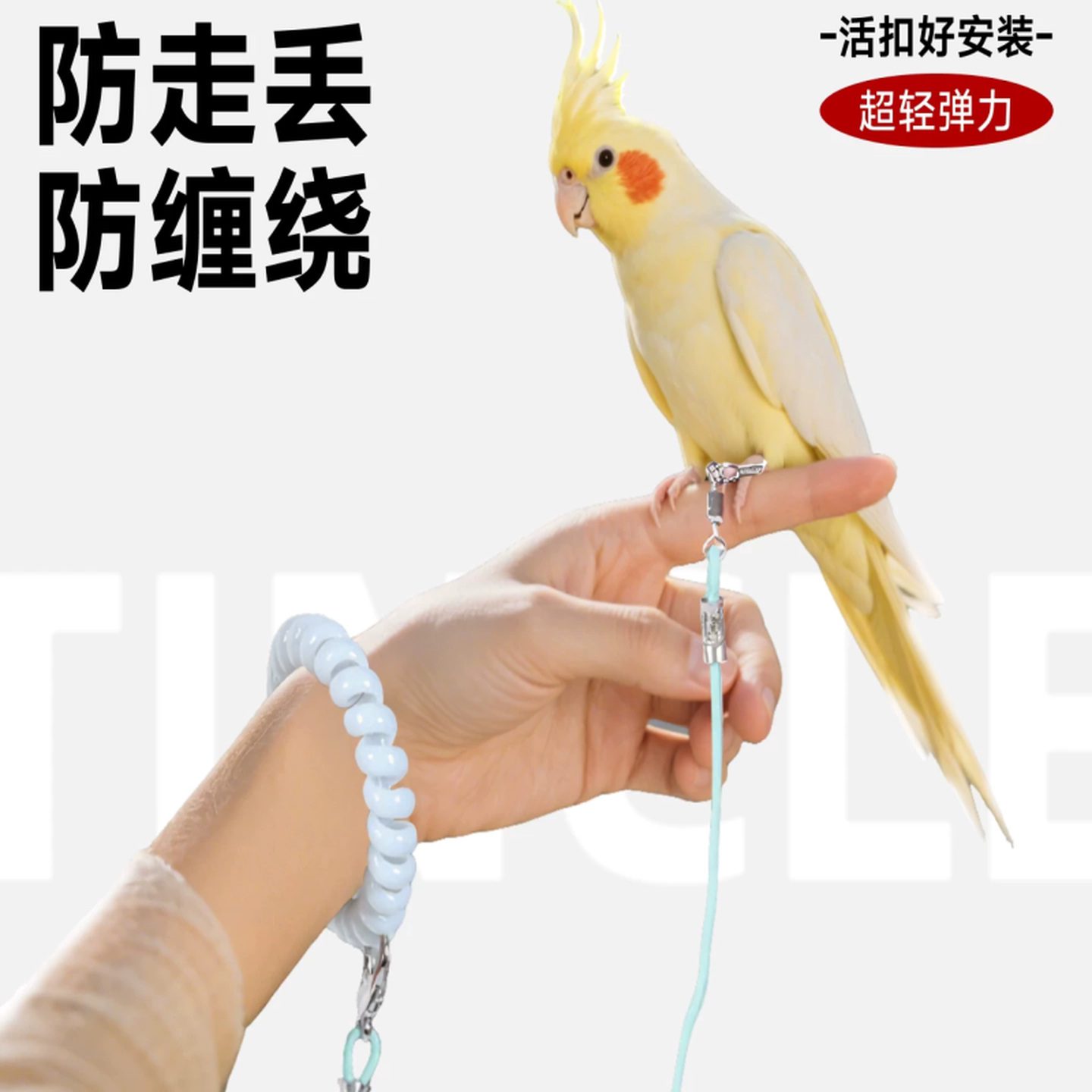 鹦鹉脚环放飞绳放飞绳小鸟专用超轻不伤脚外出绳玄凤牡丹遛鸟神器