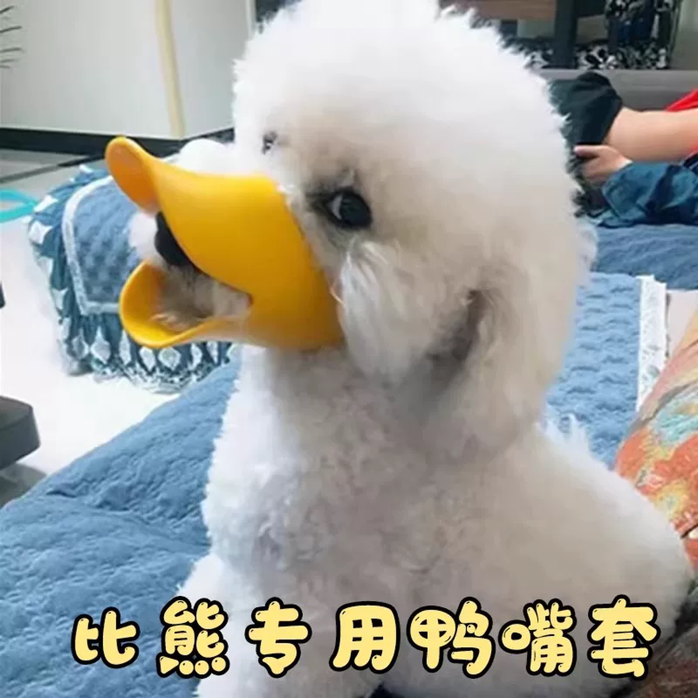 比熊专用嘴套防咬防叫防乱吃小狗口罩防误食嘴罩泰迪比熊宠物用品