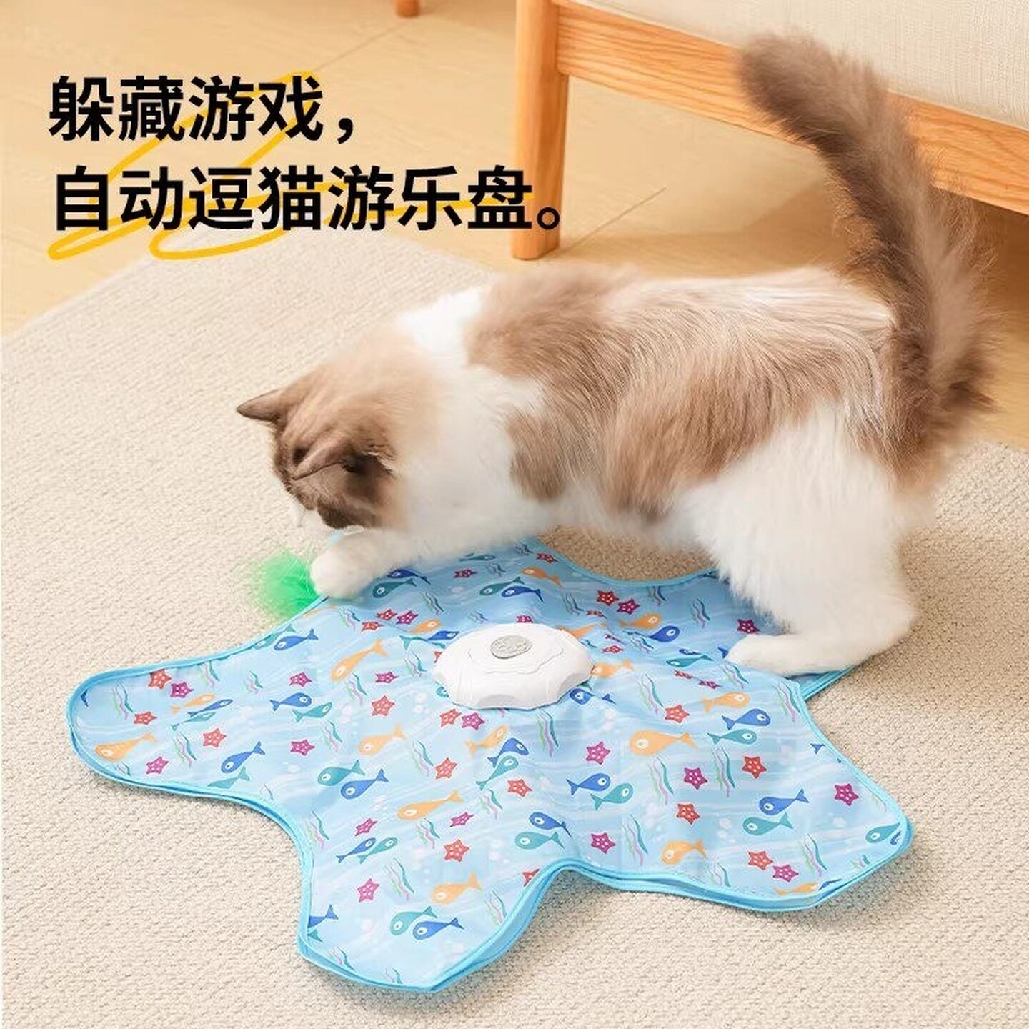 猫咪捕猎玩具打地鼠猫咪捕猎罩玩具球会动的假老鼠多猫电动逗猫