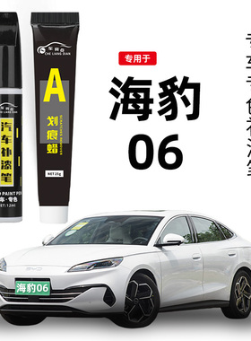 适用比亚迪海豹06补漆笔雪域白车漆划痕修复dmi点漆笔沁海绿灰色