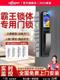 霸王锁体智能锁全自动款人脸指纹密码锁家用门锁带摄像头上门安装