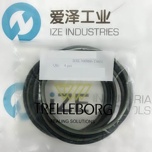 B+S密封圈RSK300900-T46N现货供应爱泽工业