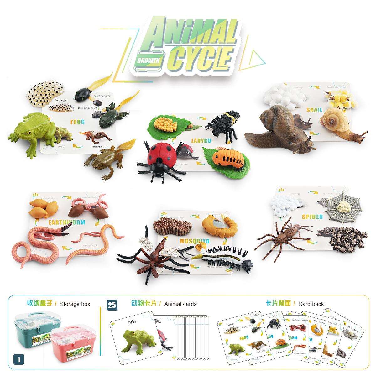 儿童认知仿真昆虫动物蝴蝶蜜蜂瓢虫蜘蛛蝎子蜈蚣模型摆件玩具