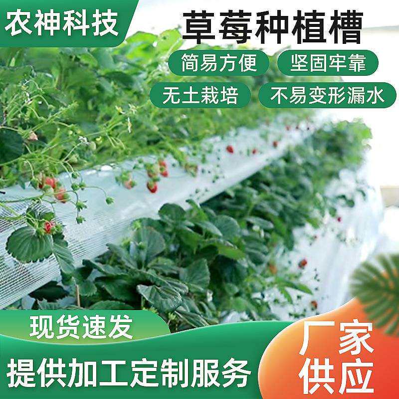 高架草莓种植槽大棚AB型基质无土栽培设备立体蔬菜花卉种植