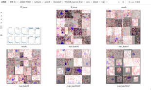 yolo系列算法改进创新python实验验证测试