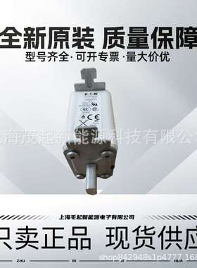 170M2619 170M2668 170M2615 170M2664 170M2662 巴斯曼熔断器