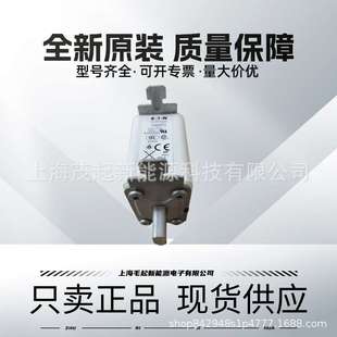 170M2662 170M2619 170M2664 170M2615 巴斯曼熔断器 170M2668