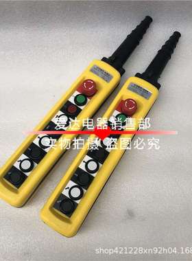 防雨防尘行车控制手柄 COBP-AS4(AP4) 双速9键  吊车起重按钮开关