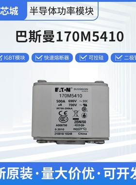 巴斯曼170M5410高压直流熔断器