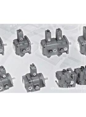 PAEFOR油泵VP-20-FA加管子