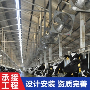 搭建养羊大棚肉羊畜牧养殖大棚羊舍建设牛羊舍大棚搭建设备