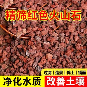 天然火山石颗粒兰花多肉专用铺面火山岩营养垫底水族火山石小颗粒