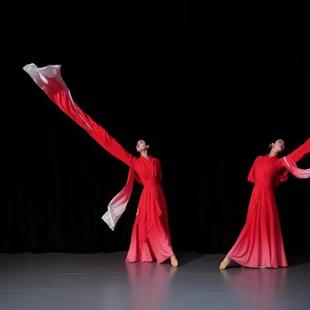 新款 渐变色飘逸身韵国风艺考演出定制 古典舞蹈表演服成人桃红水袖