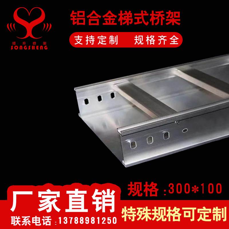 上海铝合金桥架不锈钢镀锌梯式槽式大跨距喷塑热浸锌桥架线槽盖板