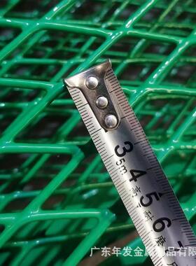 梁防抛 防高网速公路眩网高架桥桥菱形钢板铁丝网绿色框SAP架护栏