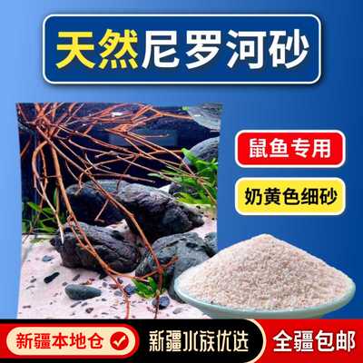 造景化妆沙尼罗河沙鼠鱼免洗包邮