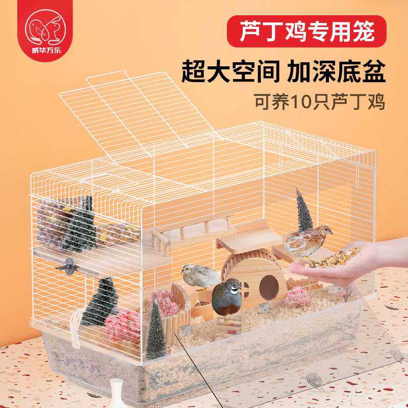 新款直销芦丁鸡养殖箱专用笼子饲养箱鹌鹑观赏大别墅造景宠物用品,宠物/宠物食品及用品,笼子,淘宝优惠券,粉丝福利购,淘宝优惠卷