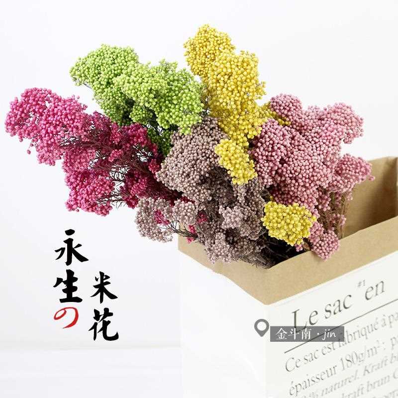 新款直销永生米花彩色云南天然干花束家具摆设公装饰现简约DIY花