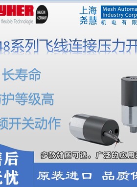 德国Layher  448系列飞线连接压力开关 压力测量 原装进口