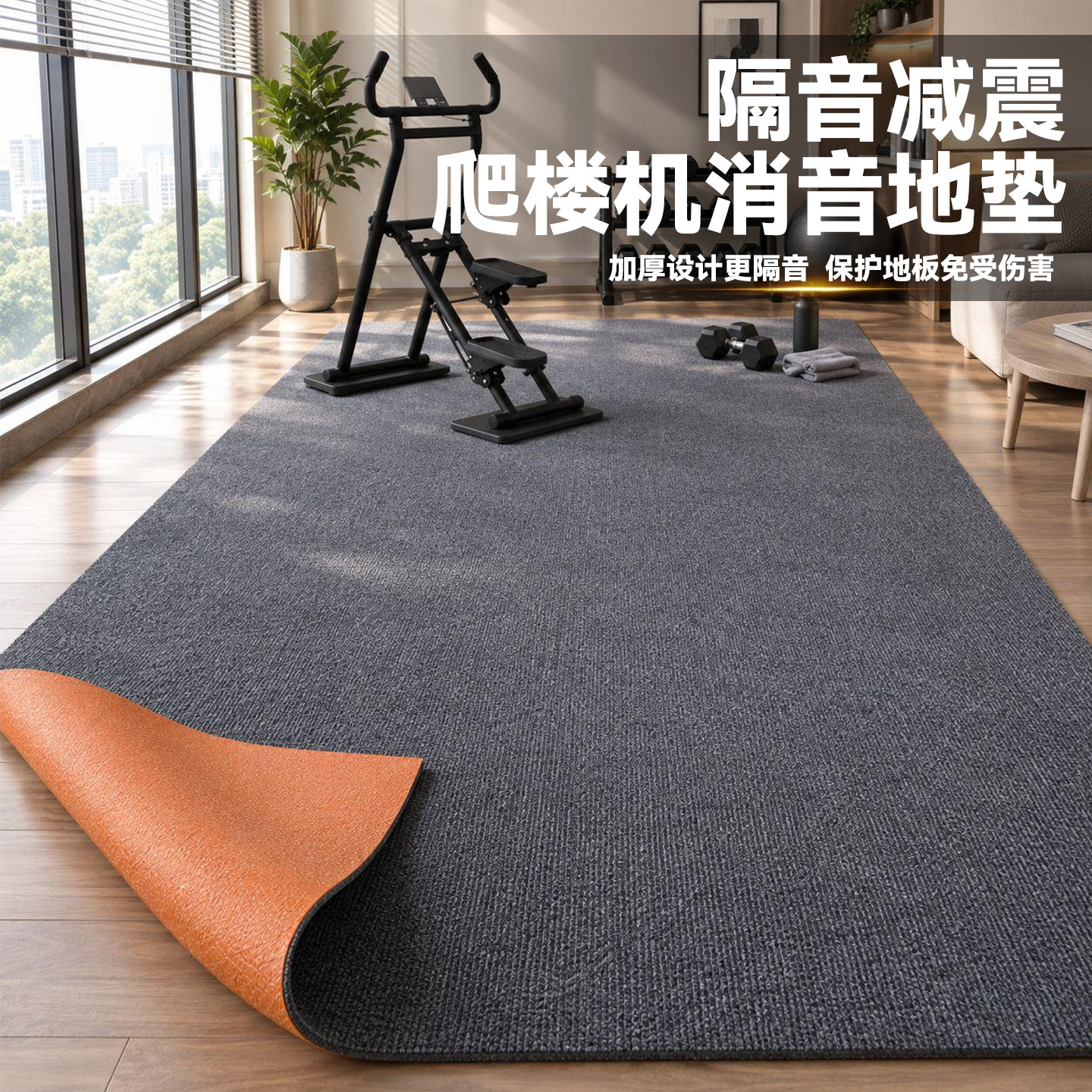 爬楼机隔音减震地垫防滑耐磨耐脏动感单车运动器材定制可裁剪地毯