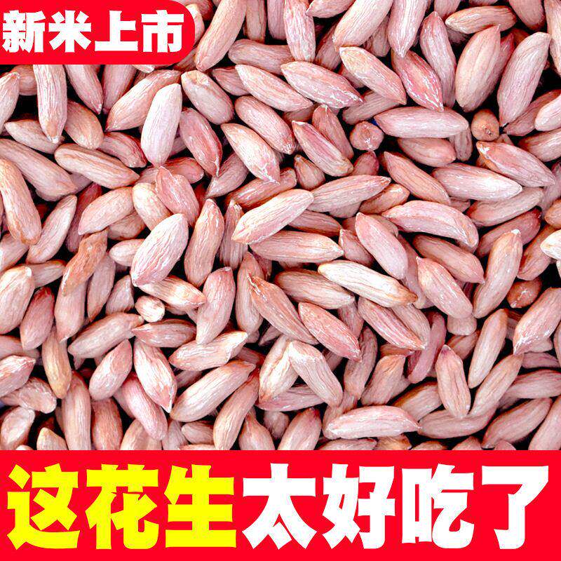 新鲜新生小瘪子花生米养胃零食小粒瘪花生仁甘甜山东新货瘪子花生