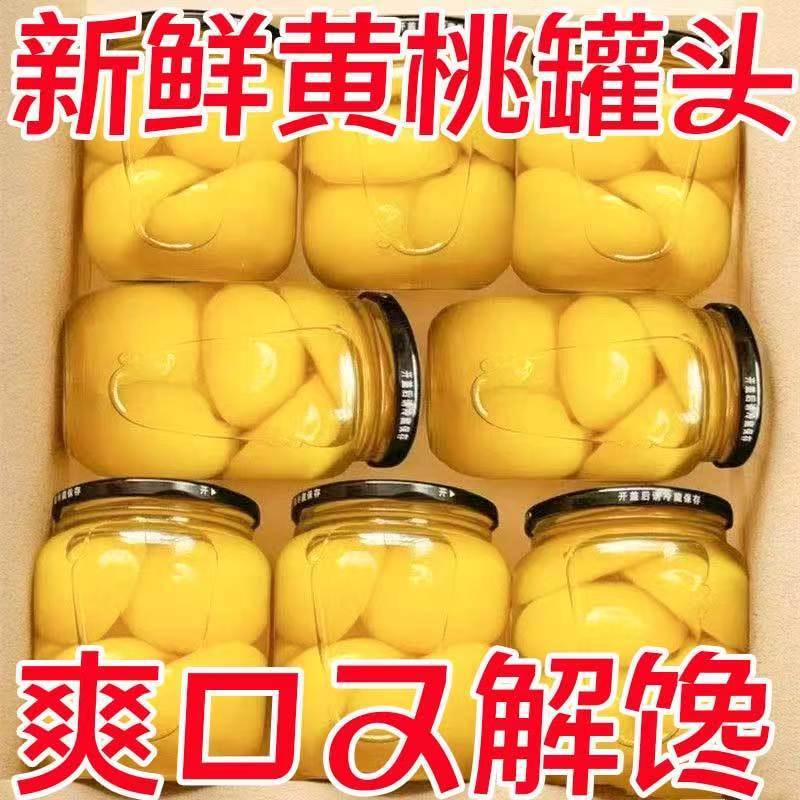 【抢到手一箱四瓶】新货黄桃罐头510g*2大瓶水果罐头老年零食整箱