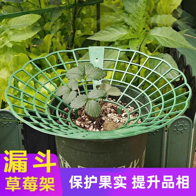 塑料圆形草莓架花架拼接组装地面种植保护果实提升品相田园种植架