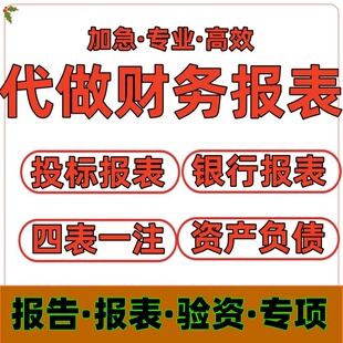 编制年度财务报表招投标资料非企年检清算excle贷款报表表格咨询