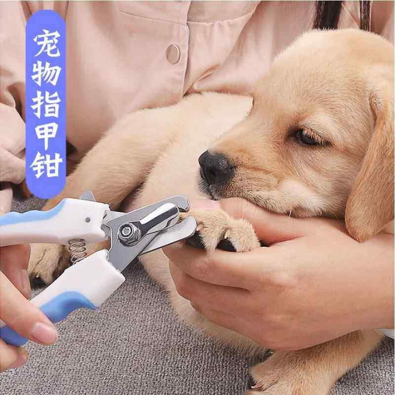 狗狗指甲剪宠物指甲钳指甲刀中小大型犬金毛泰迪猫咪通用用