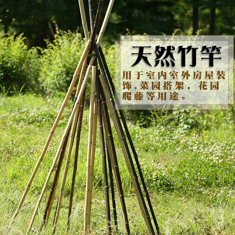 竹竿菜园搭架小竹杆爬藤架豆角黄瓜支架竹篱笆栅栏彩旗竹竿子花架