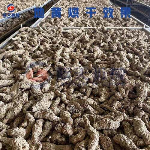 空气能生LT-SDJ地烘干机热 大型泵生中药怀药地黄烤干地房 麦冬冬