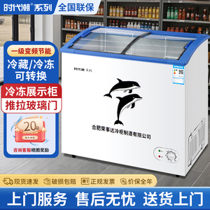 时代潮冷冻柜雪糕柜展示柜商用