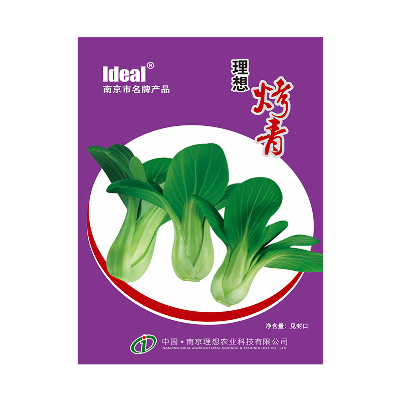 鸡毛菜种子小白菜种籽