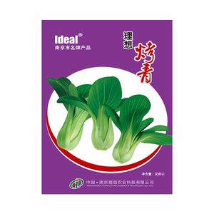 鸡毛菜种子小白菜种籽