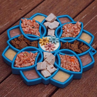 Sodapup曼陀罗慢食盘猫狗法斗防噎浅口慢食碗丰容TUDOU宠物用品