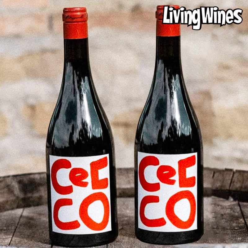 意大利进口红葡萄酒人菜瘾大