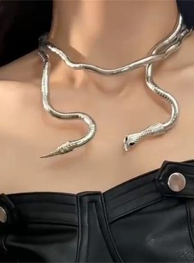 银色蛇形缠绕choker项圈女