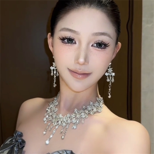 超闪水钻流苏项链耳环女晚礼服