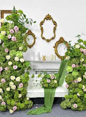 NuSun 贵宾/泰迪幼犬犬粮 2500g新款婚庆道具黑色拱形拱门舞台背