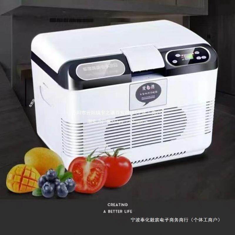 车载小冰箱迷你车家两用小型宿舍学生便携式冷藏12V轿车24V垒德株